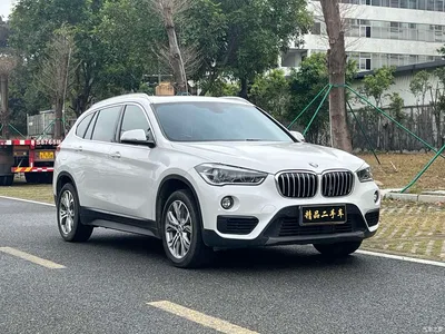2018 BMW X1 sDrive20Li Leading Model, фото 4, лот 10420600