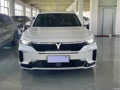 2025 Voyah Auto VOYAH FREE 318 259km 4WD Explorer Edition, фото 2, лот 10310881