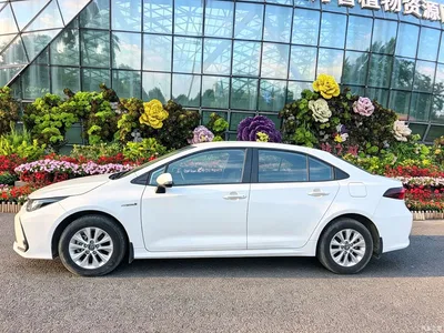 2021 Toyota Corolla Hybrid 1.8L E-CVT Elite Edition, фото 3, лот 10263350