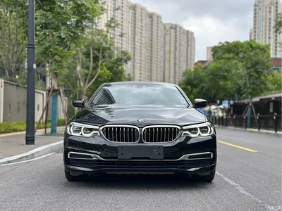2020 BMW 5 Series New Energy 530Le Luxury Package, фото 2, лот 10474217