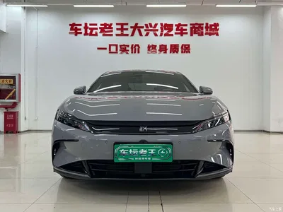 2025 BYD Han DM-i Smart Drive Edition 125KM Elite, фото 2, лот 11530479