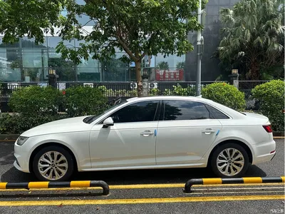 2019 Audi A4L 40 TFSI Progressive (China VI), фото 4, лот 10481486
