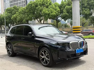 2025 BMW X5 Model xDrive 30Li Exclusive M Sport Blackout Package, фото 4, лот 10463272