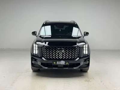 2024 GAC Trumpchi Trumpchi GS8 Navigator Series 2.0TGDI 2WD Luxury Smart Connect Edition, фото 2, лот 10416390