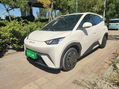 2023 BYD Seagull Vitality Edition, фото 1, лот 10259528