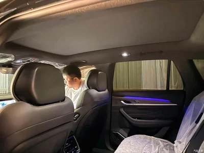2025 Geely Xingyue L Oriental Glory 2.0TD Automatic Star Collector Edition, фото 4, лот 10303317