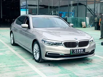 2020 BMW 5 Series New Energy 530Le Luxury Package, фото 3, лот 10473964