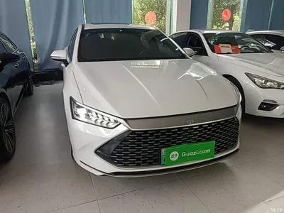 2021 BYD Qin PLUS DM-i 120KM Premium, фото 3, лот 10388037