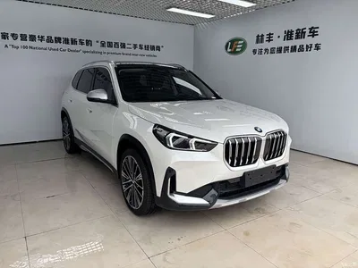 2024 BMW X1 xDrive25Li X Design Package, фото 3, лот 10464946