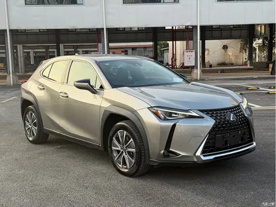 2020 Lexus UX Electric 300e Pure Yue Edition, фото 3, лот 11217487