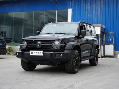2023 Tank 300 Off-Road Edition 2.0T Conqueror, фото 1, лот 10344072