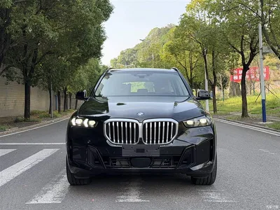 2026 BMW X5 xDrive 30Li Luxury M Sport Night Edition Package, фото 3, лот 10463160