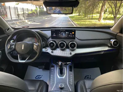 2020 WEY VV7 Model 2.0T Flagship, фото 4, лот 11565524