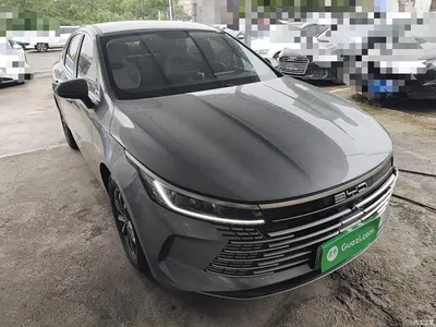 2024 BYD Destroyer 05 Glory Edition DM-i 55KM Luxury, фото 4, лот 11218506