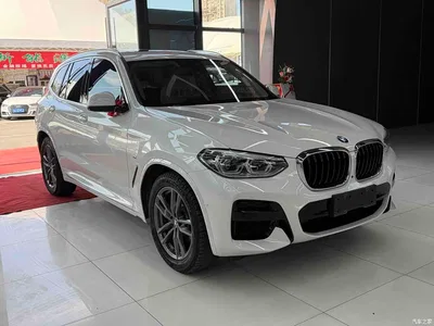 2021 BMW X3 xDrive28i M Sport Package, фото 3, лот 10410982