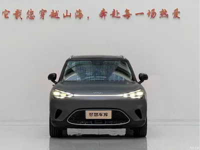 2022 smart Elf #1 Premium Edition, фото 2, лот 10343602
