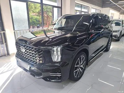 2022 GAC Trumpchi Trumpchi GS8 Pilot Series 2.0TGDI 2WD Luxury Smart Connect Edition (7-Seater), фото 2, лот 10421762