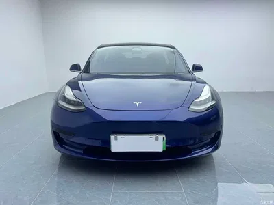2019 Tesla Model 3 Standard Range Rear-Wheel Drive Upgrade, фото 2, лот 10346070