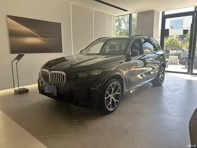 2023 BMW X5 xDrive 30Li Premium M Sport Black Night Package, фото 1, лот 10450902