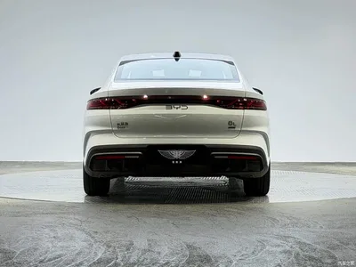 2025 BYD Qin L DM-i Smart Drive Edition 120KM Surpassing, фото 3, лот 11002699