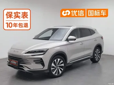 2024 Byd Song Plus, фото 1, лот 10245375