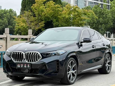 2023 BMW X6 xDrive40i Premium M Sport Package, фото 1, лот 10469160