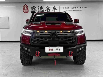 2023 Great Wall Pao 2.0T Off-road Edition Auto Petrol 4WD Premium, фото 2, лот 11565833