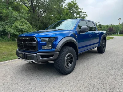 2017 Ford F-150 Raptor 3.5T Raptor Performance Edition, фото 3, лот 10296652