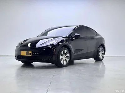 2022 Tesla Model Y Rear-Wheel Drive Version, фото 1, лот 11188119