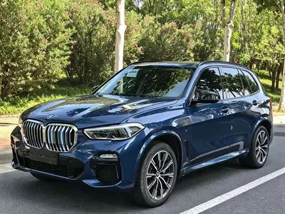 2019 BMW X5 (Import) xDrive40i M Sport Package, фото 1, лот 10422024