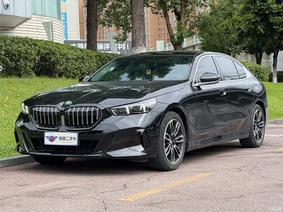 2025 BMW 5 Series 530Li Leading M Sport Package, фото 1, лот 11002422