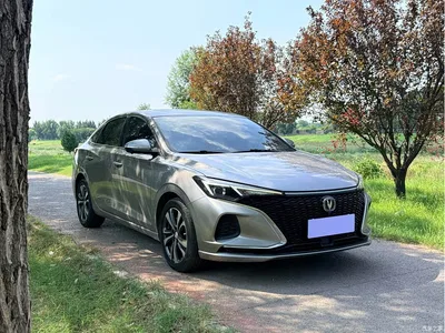 2020 Changan Eado PLUS Blue Whale NE 1.4T GDI DCT Flagship, фото 3, лот 10274341