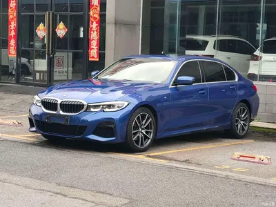 2021 BMW 3 Series 320Li M Sport Package, фото 1, лот 10600384