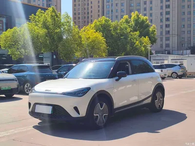2023 smart Elf #1 Model Pro Edition, фото 1, лот 11535372