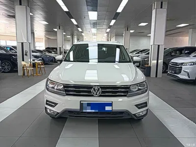 2018 Volkswagen Tiguan L 330TSI Automatic 2WD Comfort Edition, фото 2, лот 10462000