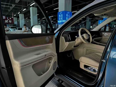 2025 AITO Wenjie AITO M9 Extended Range Ultra 52kWh 6-Seater, фото 4, лот 10278274
