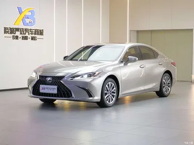 2021 Lexus ES 200 Excellence Edition, фото 1, лот 10312746