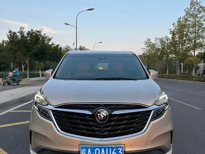 2021 Buick GL8 ES Landlord 653T Luxury, фото 2, лот 10842543