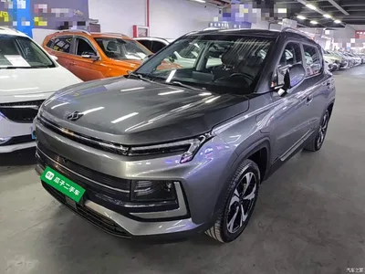 2021 Sehol E40X Model Golden Armor Edition, фото 2, лот 11168778