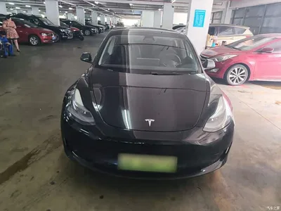 2021 Tesla Model 3 Standard Range Rear-Wheel Drive Upgrade, фото 3, лот 10827316