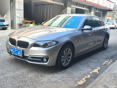 2014 BMW 5 Series 520Li Elegance, фото 1, лот 10879724