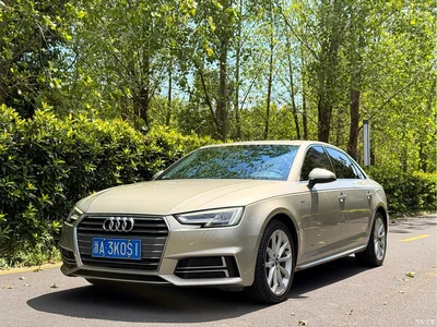 2018 Audi A4L 30th Anniversary 40 TFSI Fashion, фото 1, лот 10481730