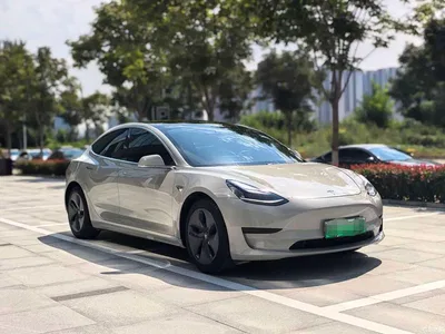 2020 Tesla Model 3 Standard Range Rear-Wheel Drive Upgrade, фото 3, лот 10399915