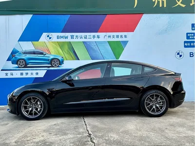 2021 Tesla Model 3 Standard Range Rear-Wheel Drive Upgrade 3D6, фото 4, лот 10403180