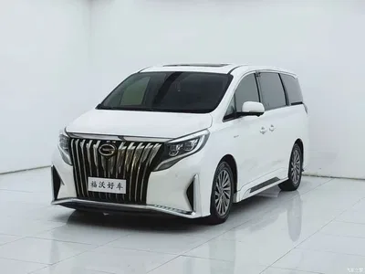 2021 GAC Trumpchi Trumpchi M8 Master Series 390T Ultimate Edition, фото 1, лот 10414793