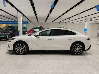 2024 Denza Z9 Model 1100km AWD Max Edition, фото 3, лот 11493854
