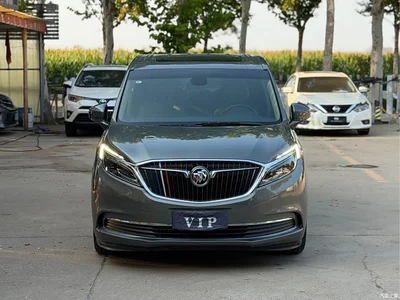 2017 Buick GL8 ES 28T Luxury China V, фото 2, лот 10476693