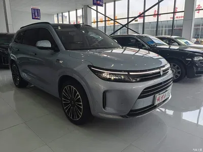 2024 AITO Wenjie AITO M7 1.5T Smart AWD Max Edition 5-Seater, фото 3, лот 10415366