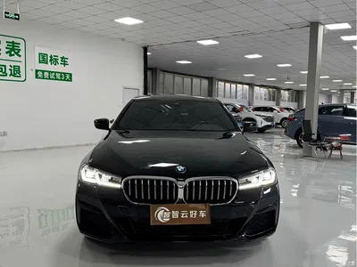 2023 BMW 5 Series 530Li xDrive M Sport Package, фото 2, лот 11503197