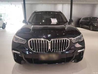 2022 BMW X5 Facelift xDrive 30Li Premium M Sport Package, фото 3, лот 11141637